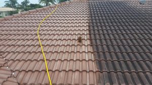 Surrey roof cleaning
